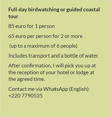 "Flyer full-day birdwatching or guided coastal tour in Gambia. Price €85 for 1 person or €65 per per
