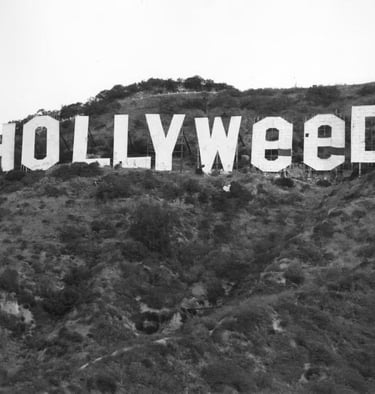 hollyweed-sign-los-angeles