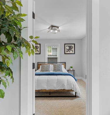 a calm relaxing bedroom space with a plant in the foreground