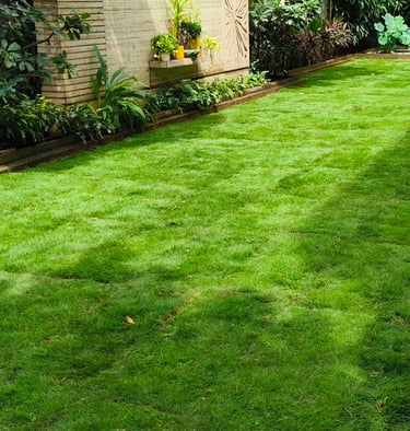 lawn grass suppliers in Andhra Pradesh