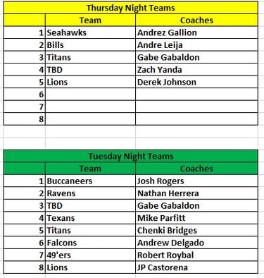 Summer League teams