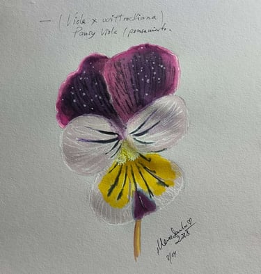 Lámina artística Din A4 – ilustración pintada a mano