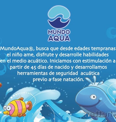 escuela de natacion merida mundoaqua
