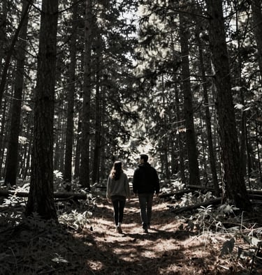 A cinematic wide shot of a couple walking through a North American forest, sun rays filtering through trees, Charcoal shadows.