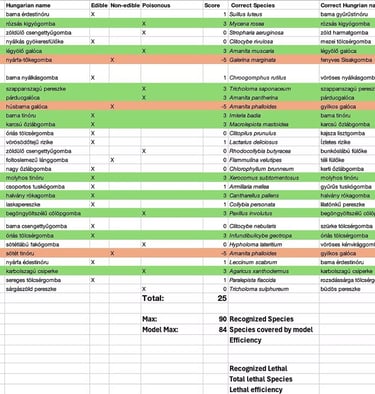 Figure 2. OFELIA’s performance in the competition.