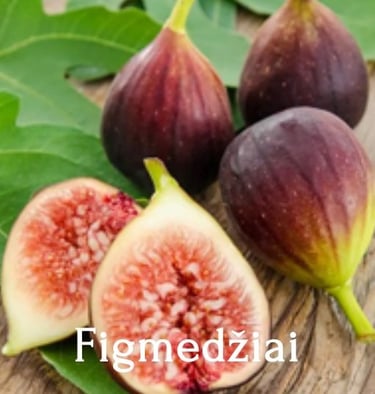 Figmedžiai