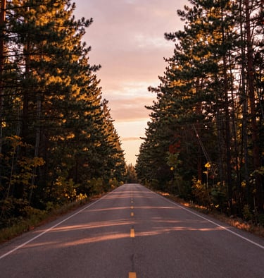 A wide cinematic landscape of a North American forest road at sunrise. Warm terracotta and soft sand light filtering through the trees, inviting and artful.