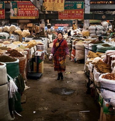 Chengdu Traditional Market
