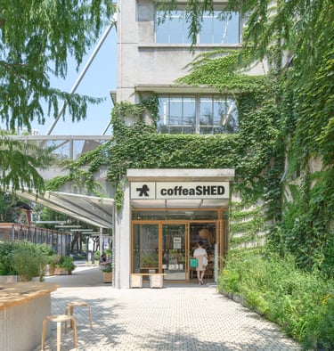Coffea SHED