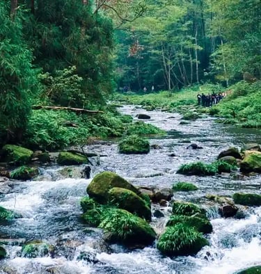 golden whip stream zhangjiajie winter