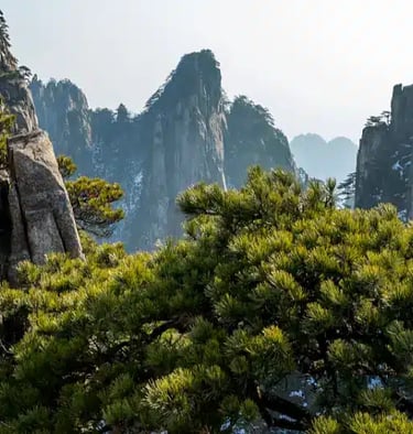 tunxi huangshan city
