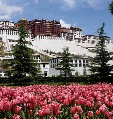 Lhasa