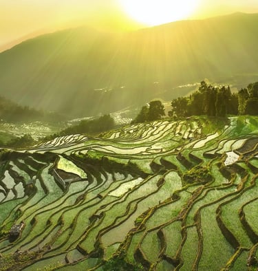 元阳梯田
