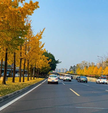 Chengdu Scenic Road