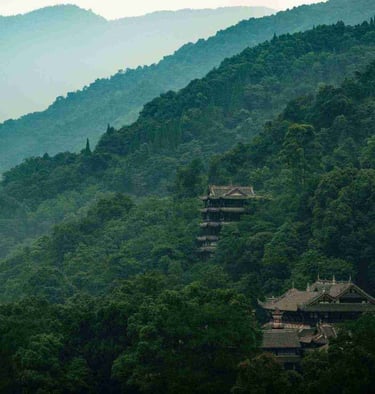 Qingcheng Mountain