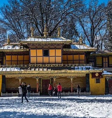 Norbulingka winter