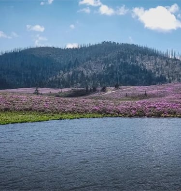 shangri-la china Qianhu Mountain