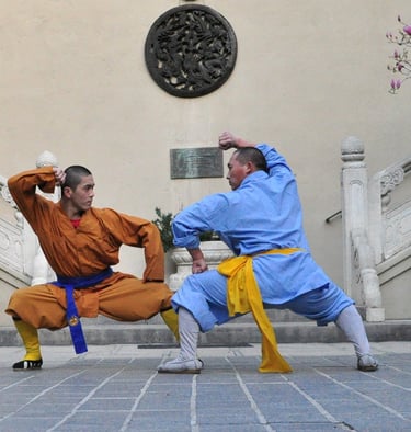 Chinese Martial Arts Museum