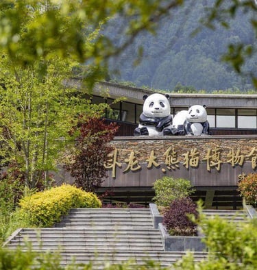 Wolong Panda Tour, Chengdu