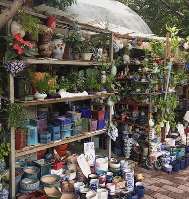 Qingping Market, Guangzhou