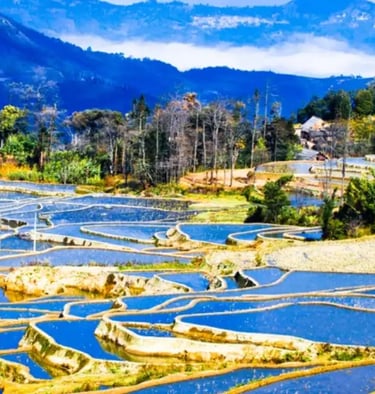 yuanyang rice terraces