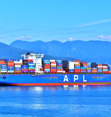 export business (specializing in high-quality goods from India).