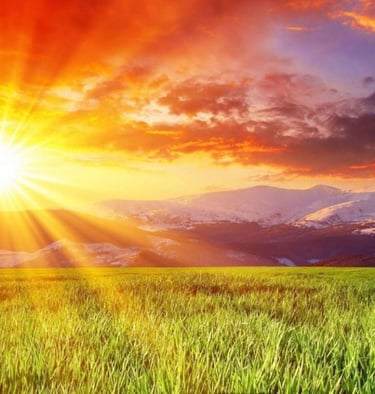 Safety in the Sun