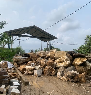 Join Nussen Living Exclusive Business Partner Benefits