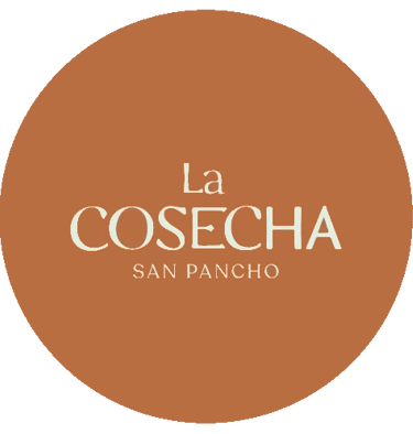 https://www.instagram.com/lacosechasp/?hl=en