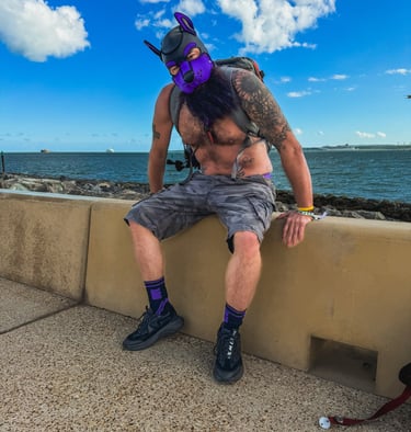 Man in pup mask sitting on a sea wall.
