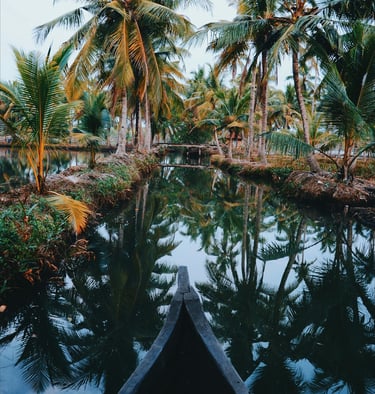 Kerala backwaters
