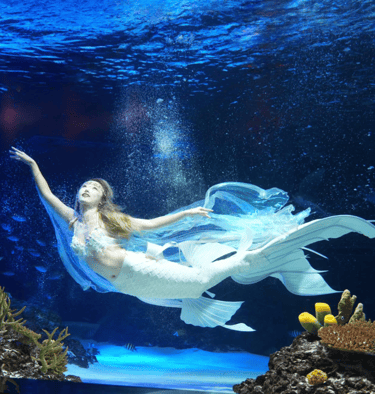 Mermaid Sera in an aquarium show in Korea