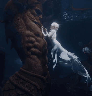 Mermaid Sera at Harbin Shark Diving