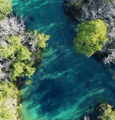 Three Sisters Springs from above