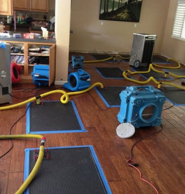 Air movers moving air, dehumidifiers removing water. Special water removing mats on the floors. 