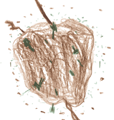 a drawing of a leafy apple in a leafy tree