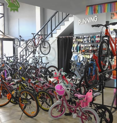 BICICLETAS DE TODO TIPO EN BIMAX FIRMAT