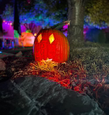 O.W.L. Light Halloween 