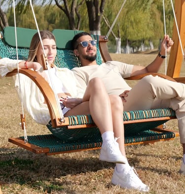 Saniwerke Luxe Recline Duo Swing