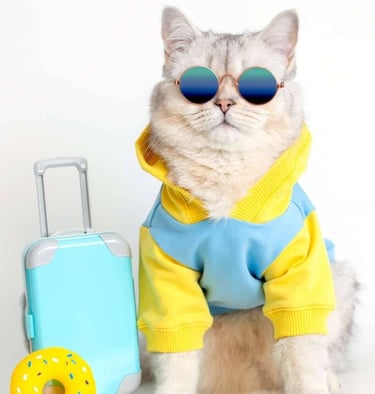 Un gato peludo con gafas de sol y una sudadera amarilla sentado junto a una maleta de juguete azul