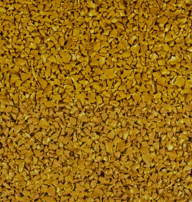 Autumn Yellow 1209