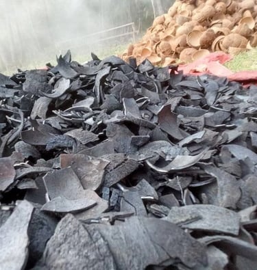 coconut shell charcoal