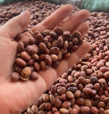 #SafeMission nie jest o wielkich gestach