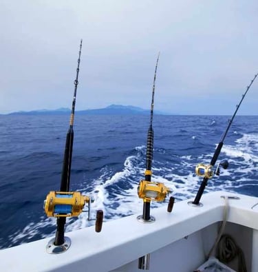 a group of fishing rods on a boat