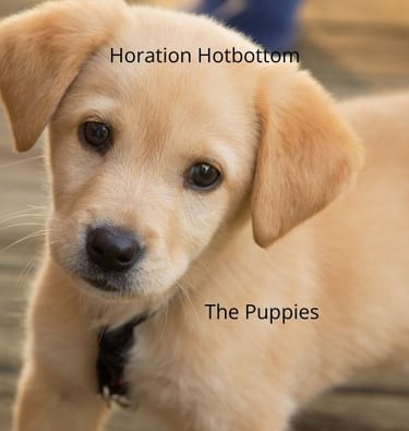puppy story