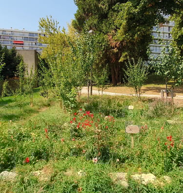 jardin des 5 sens la vue et l'odorat