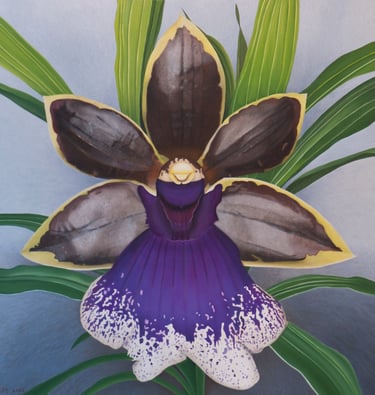 Purple and Brown Zygopetalum