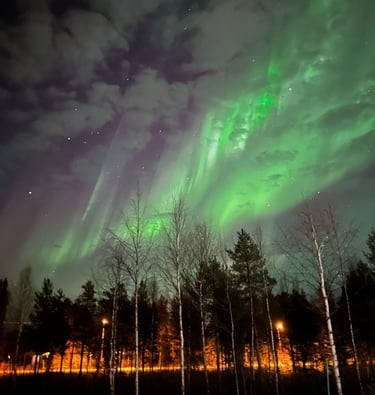 a green and white sky with a green sky with auroras and some trees