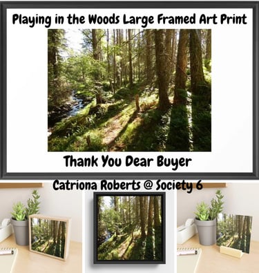 Photograph of a summery nature walk displayed on canvas and art prints.