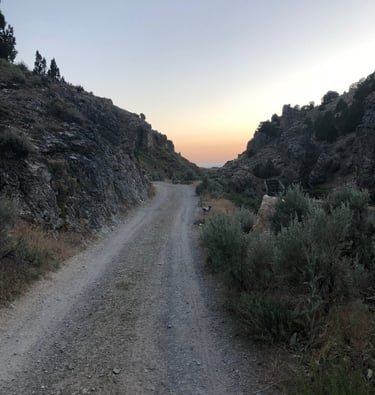 12 Mile Hot Springs Road Nevada
